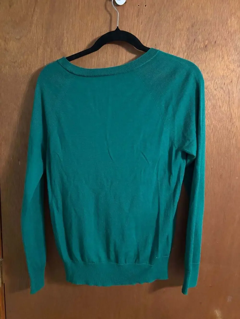 Banana Republic 100% Merino Wool Green V-Neck Sweater Size M